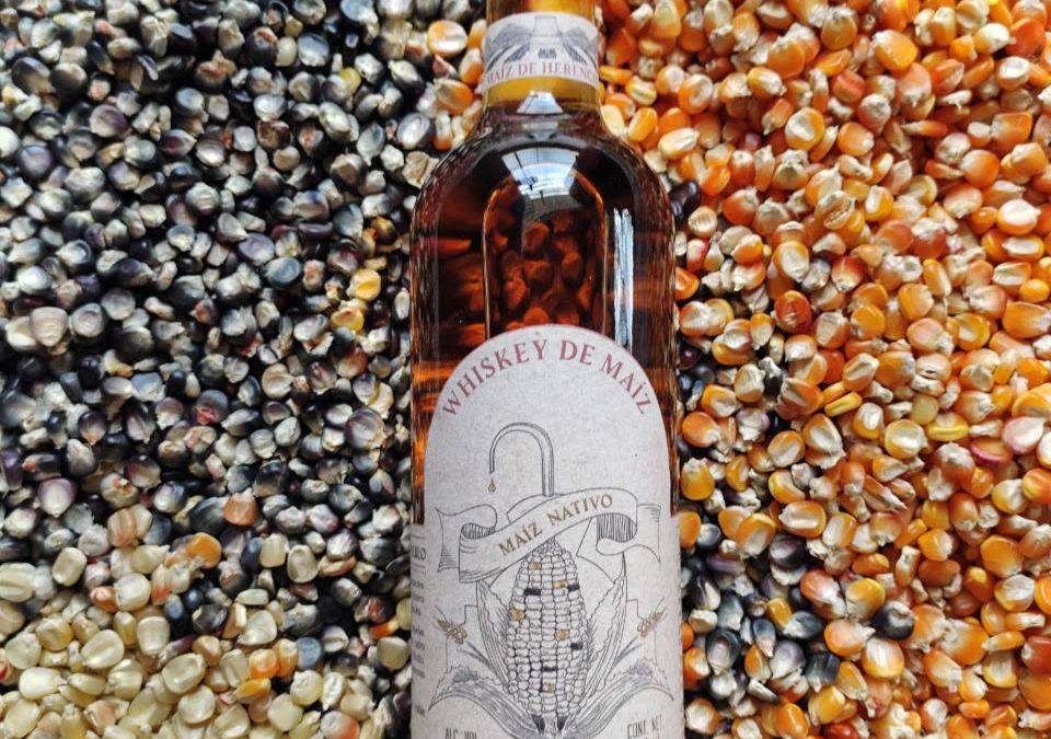 Preserving Diversity through Corn Whiskey with Yira Vallejo- Notes